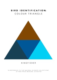 Kingfisher Colour Chart 