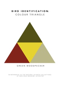 Green Woodpecker Colour Chart 