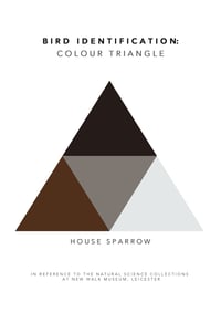 House Sparrow Colour Chart 