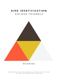 Waxwing Colour Chart 