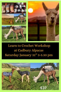 Image 1 of Copy of Learn to crochet at Cadbury Alpacas Saturday January 31st 3-5.30 pm 