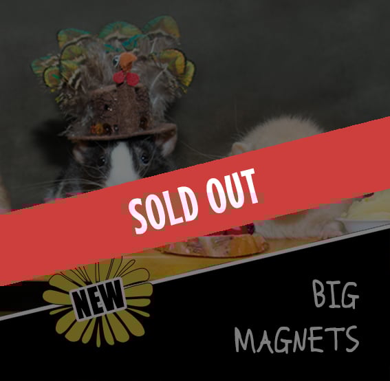 Image of BIG Magnets  