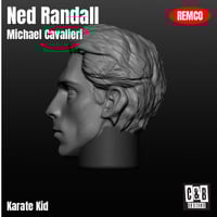 Image 2 of Ned Randall 3D Printed Head Remco