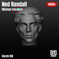 Image 3 of Ned Randall 3D Printed Head Remco