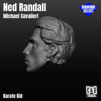 Image 2 of Ned Randall 3D Printed Head Diamond Select