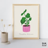 Monstera Deliciosa - A4 print 