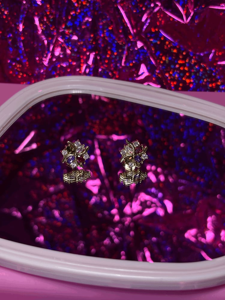 Image of Luna Earrings