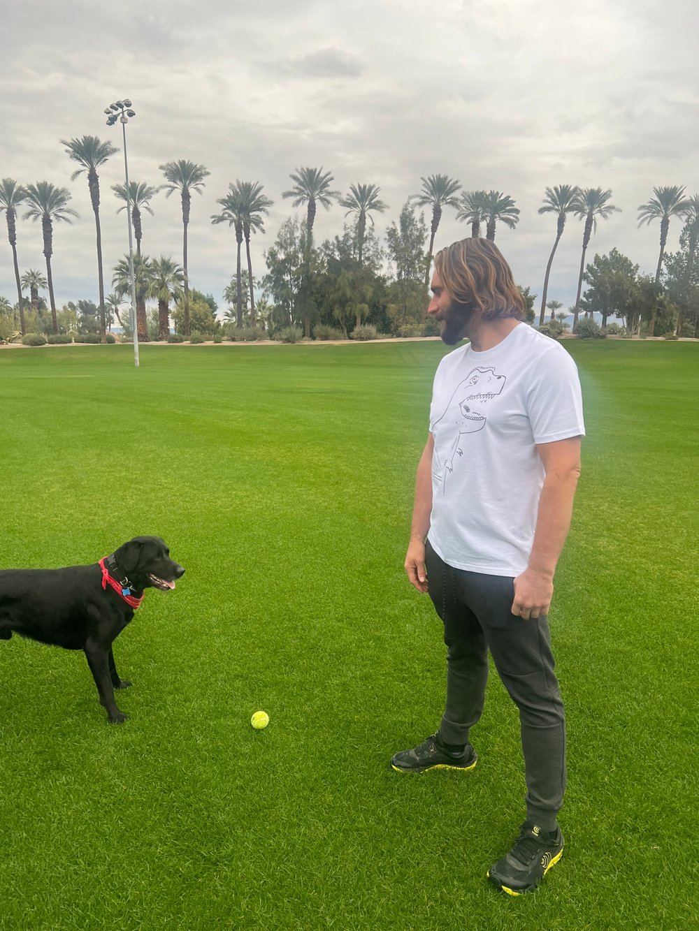 T-Rex Dino - Unisex organic cotton t-shirt