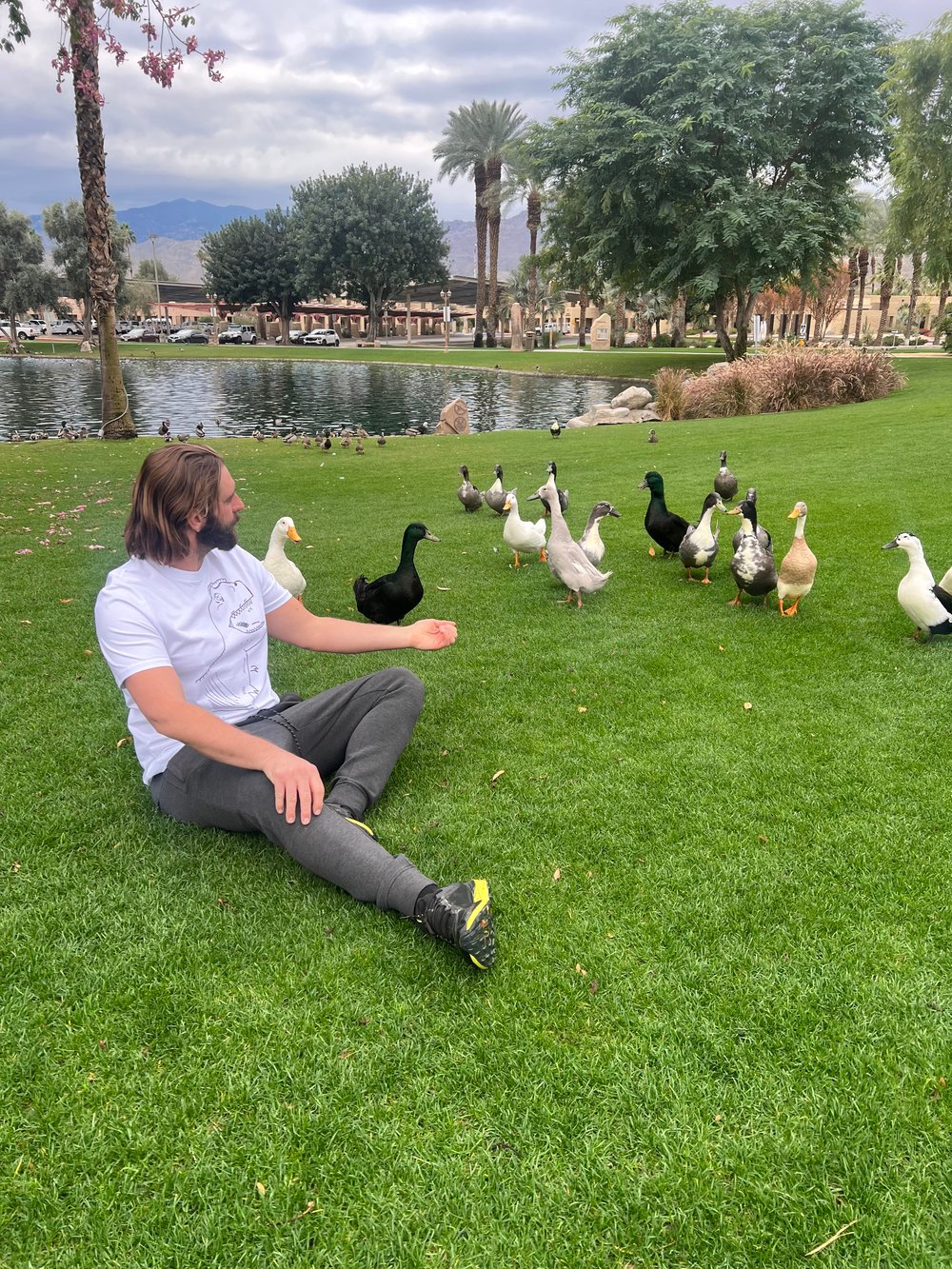 T-Rex Dino - Unisex organic cotton t-shirt