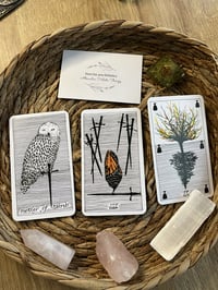 Clarity Card Pull - 3 Tarot Card Pull Reading 