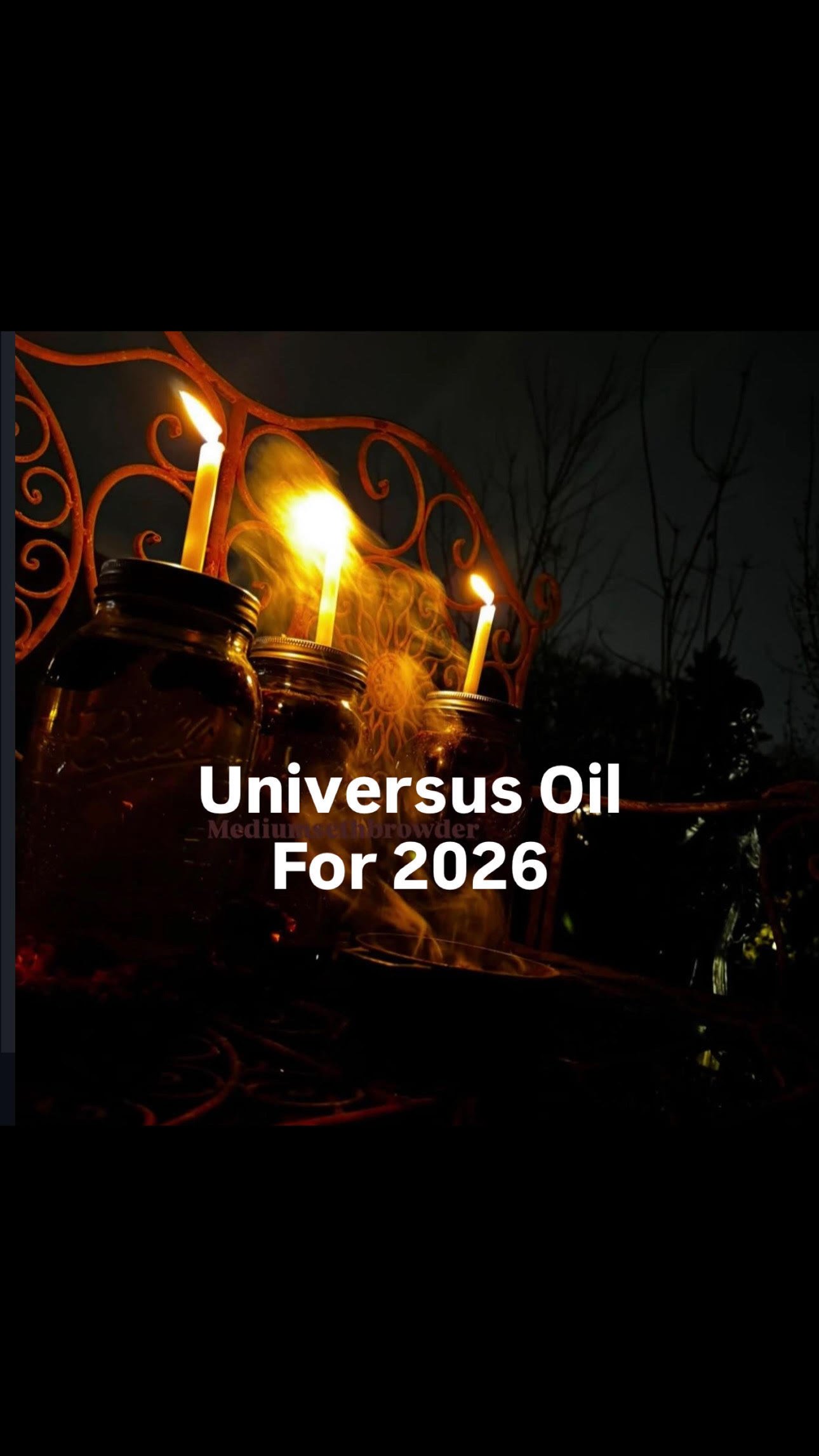 Image of Universus: Oil (1 full year outside)