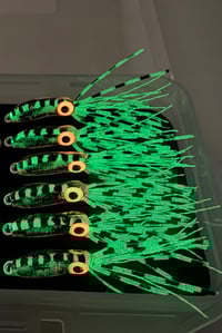 Image 2 of Jail Bird Squid