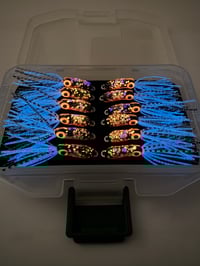 Image 2 of Aʻa Glow Squid