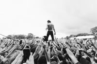 CAGE THE ELEPHANT "STANDING - O"