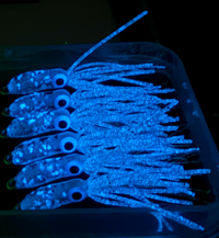 Image 2 of Speckled Glow Squid - Aqua