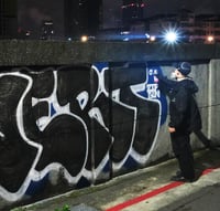 Image 7 of LA → Taipei