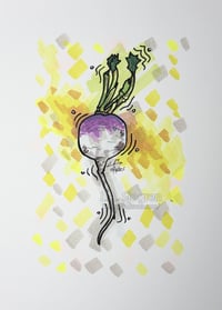 Image 1 of Turnip Illustration