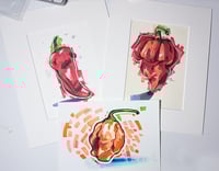Image 2 of Red Chili Pepper Illustration 2
