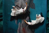 Image 1 of Beaver Jaw Necklace