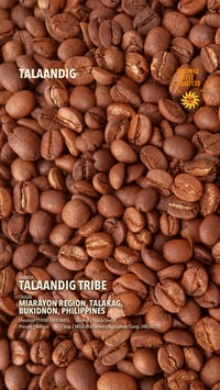 Image 3 of TALAANDIG — SINGLE ORIGIN COFFEE from Miarayon, Talakag Bukidnon