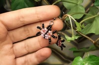 Image 3 of Pink beetle earrings