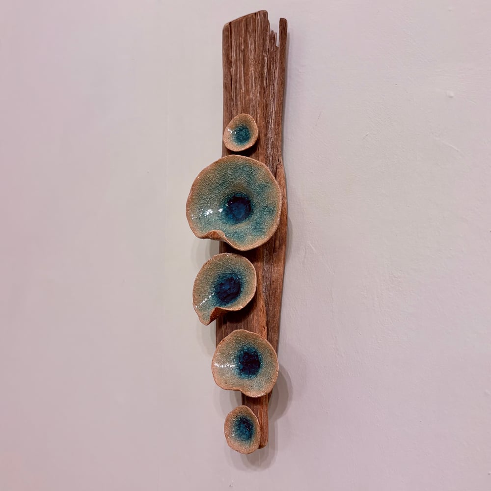 Image of  Lilypad Driftwood