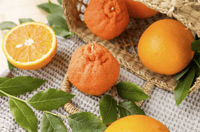 Image 3 of Orange candle