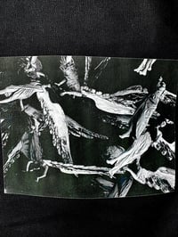 Image 3 of Angel Bag