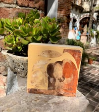 Image 1 of Fungi Love