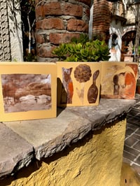 Image 2 of Fungi Love