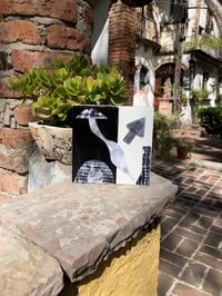 Image 1 of Going My Way?