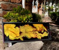 Artwork or Serving Tray - You Choose