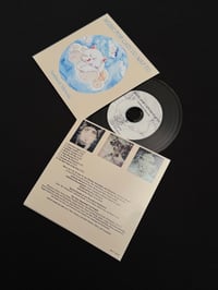 Image 2 of Ambient Mewsic - 'Music for Cats to Nap to' CD, Tape, Record, and Catnip Toys