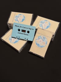 Image 3 of Ambient Mewsic - 'Music for Cats to Nap to' CD, Tape, Record, and Catnip Toys