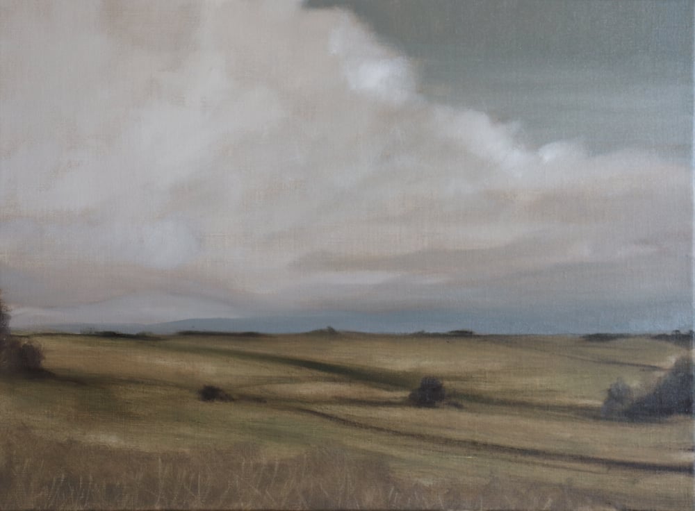 Image of Champs sous un ciel nuageux