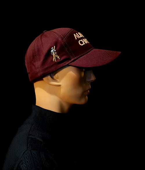 Image of BRWN alphacharlIΞ Ice Cream Cap