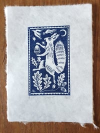 Image 2 of Squirrel!