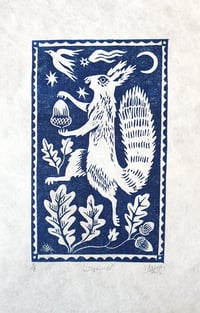 Image 1 of Squirrel!