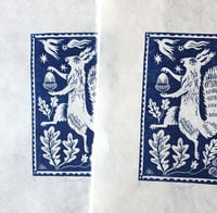 Image 3 of Squirrel!