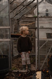 Image 17 of PRE- ORDER - HOME GROWN - ORGANIC BABY/CHILDRENS CLOTHING