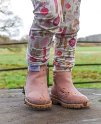 Image 1 of PRE- ORDER - HOME GROWN - ORGANIC BABY/CHILDRENS CLOTHING