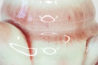 Image 3 of TPT A0024