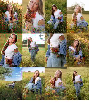 Image of Spring Full Session