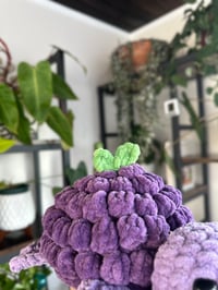 Image 2 of Crochet Grape Turtle 🍇