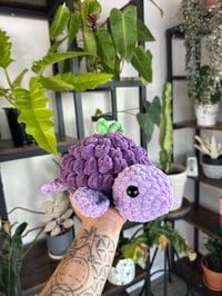 Image 4 of Crochet Grape Turtle 🍇