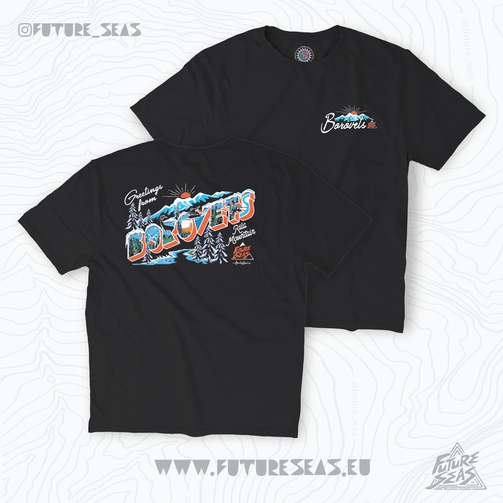 Image of BOROVETS POSTCARD