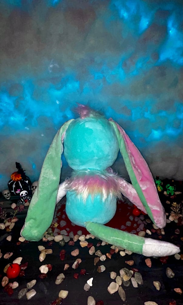 Image of Lola Gibbie