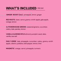 Image 2 of 2026 New Years Refresh Cleanse 