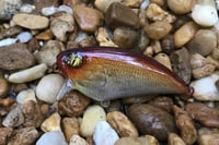 Image 5 of SPEEDBAITS Custom Airbrushed BFS Flatside Wakebait 6366