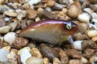 Image 4 of SPEEDBAITS Custom Airbrushed BFS Flatside Wakebait 6366